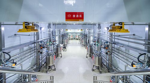 智能酿造13年，国台做了一件难而正确的事